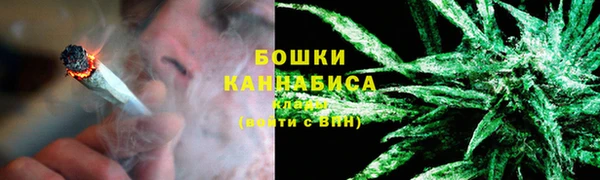 твердый Богданович