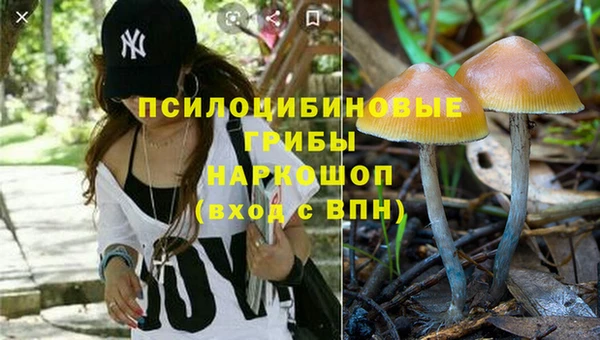 твердый Богданович