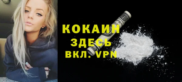 первитин Богородицк